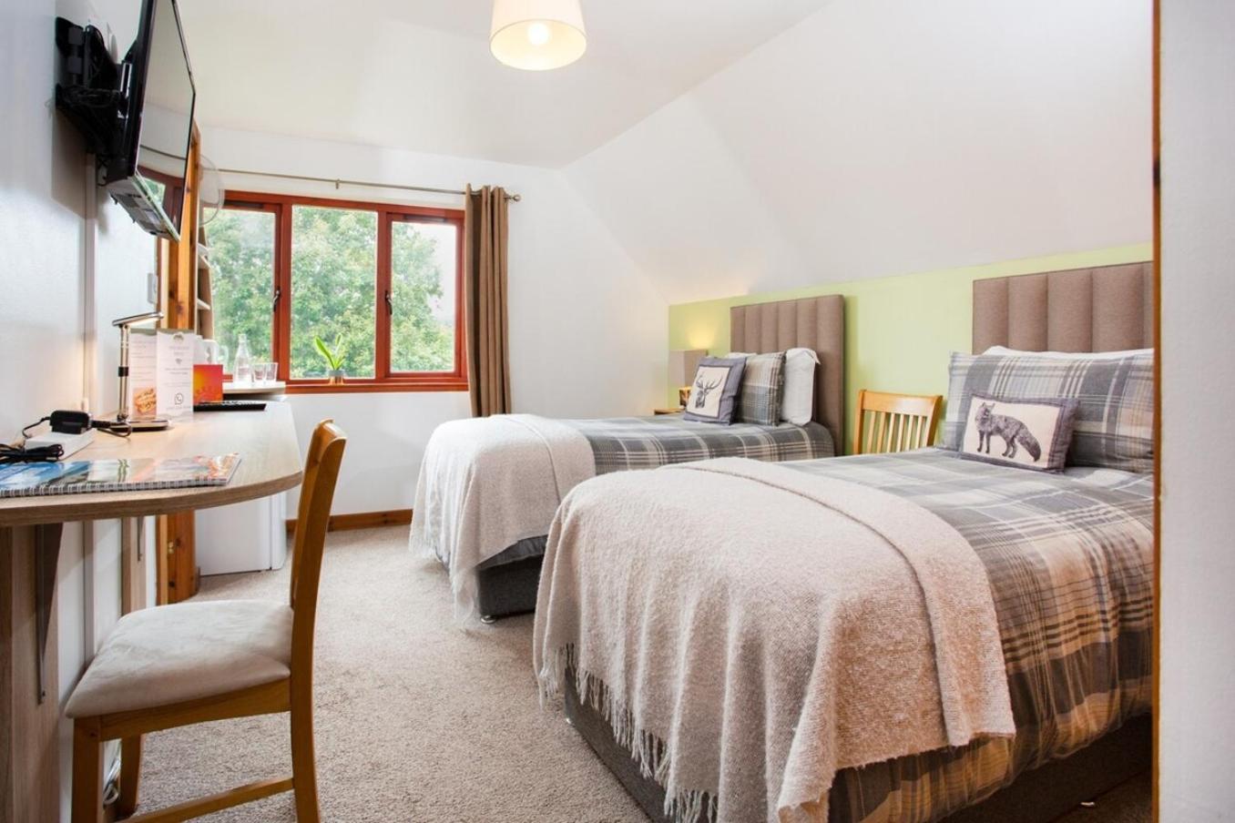 Beechwood Lodge Guesthouse Alness Εξωτερικό φωτογραφία