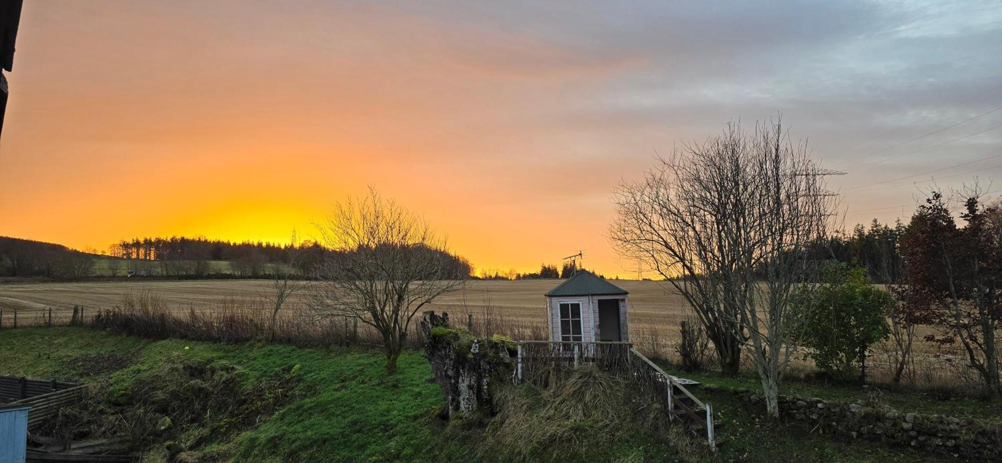 Beechwood Lodge Guesthouse Alness Εξωτερικό φωτογραφία